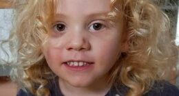 Striking coincidences between lost boys Gus Lamont and William Tyrrell