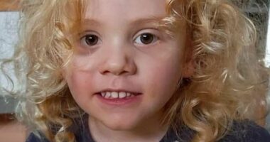Striking coincidences between lost boys Gus Lamont and William Tyrrell