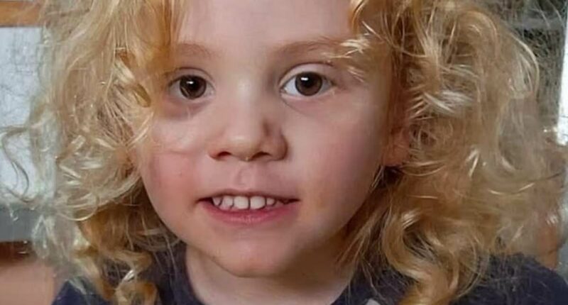 Striking coincidences between lost boys Gus Lamont and William Tyrrell