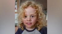 Stunning claims made by volunteer who helped search for missing boy
