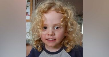 Stunning claims made by volunteer who helped search for missing boy