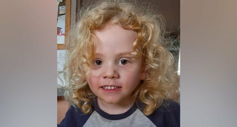 Stunning claims made by volunteer who helped search for missing boy