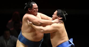 Sumo stars take over London: Sold-out crowd watches first night as 25 STONE fighters dazzle Royal Albert Hall - after drinking Guinness and visiting McDonald's