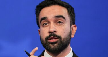 Superstar socialist could lose NYC mayoral election... but only if GOP rival drops out, new poll claims