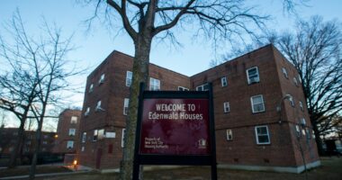 Suspect in Bronx NYCHA killing charged with murder, held without bail