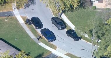 Suspect in custody after shooting at officers from inside Addison home