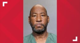 Suspect pleads not guilty to charge in hit-and-run death of 13-year-old Genesis Webber