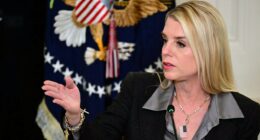 Suspect with lengthy rap sheet arrested for alleged Pam Bondi 'murder-for-hire' scheme: FBI
