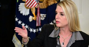 Suspect with lengthy rap sheet arrested for alleged Pam Bondi 'murder-for-hire' scheme: FBI
