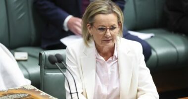 Opposition leader Sussan Ley during Question Time at Parliament House in Canberra on Tuesday 28 October 2025.