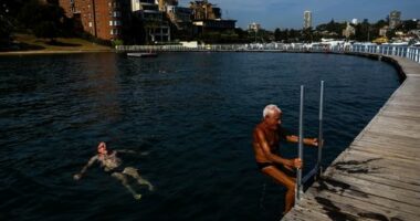 People brave the early morning ahead of the record-breaking heat at Rose Bay's Redleaf Pool in Sydney.
