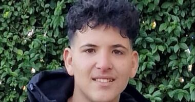 Syrian refugee stabbed to death in street after walking past woman