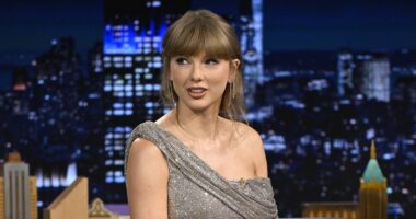 Taylor Swift finally updates fans on Reputation (Taylor's Version)