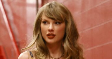 Taylor Swift is HIDING: Insiders spill on secretive behavior at NFL games... and why she's adamant about new life in the shadows