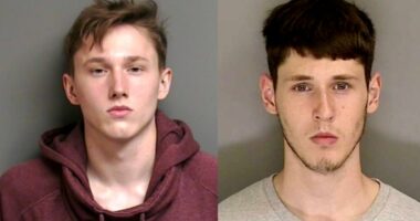 Tech CEO's accused killers 'humiliated' by pushups, detective testifies
