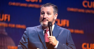 Ted Cruz Calls $3 Billion US Aid to Israel a “Bargain”