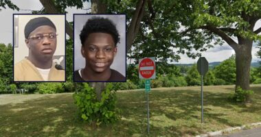 Teen walked 15-year-old into the woods and executed him