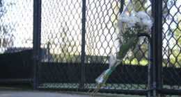 Cricket player fighting for life after being hit by ball in head and neck area Ferntree Gully