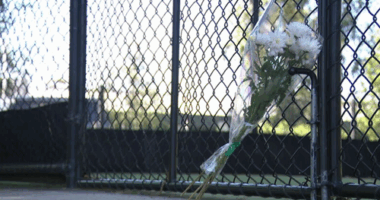 Cricket player fighting for life after being hit by ball in head and neck area Ferntree Gully