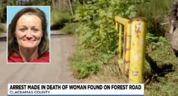 Teenage son helped dad dump woman's remains, deputies say