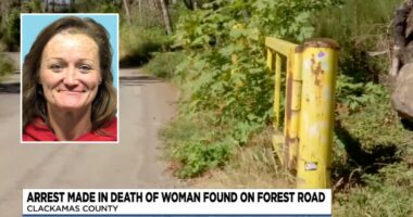 Teenage son helped dad dump woman's remains, deputies say