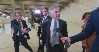 Optus CEO Stephen Rue, surrounded cameras and journalists ahead of his meeting with Anika Wells in Parliament House.
