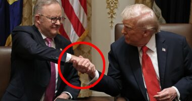 Telling detail shows how Trump expertly handled Anthony Albanese