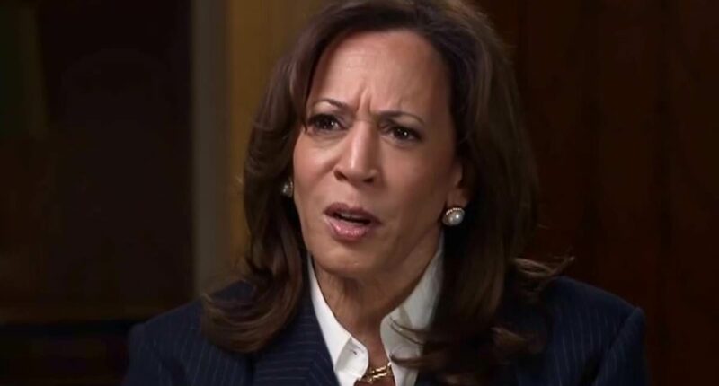 Tense moment Kamala Harris snaps at ABC journalist over Biden question