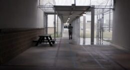 Texas corrections officer dismissed over chicken wing smuggling accusations