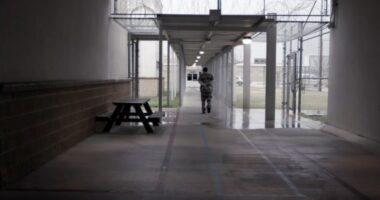 Texas corrections officer dismissed over chicken wing smuggling accusations