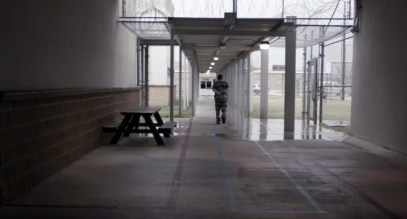 Texas corrections officer dismissed over chicken wing smuggling accusations