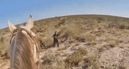 Texas mounted patrol caught on camera capturing illegal immigrant hiding in ranch brush near southern border