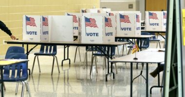Texas says database found 2,000 possible noncitizens on voter rolls