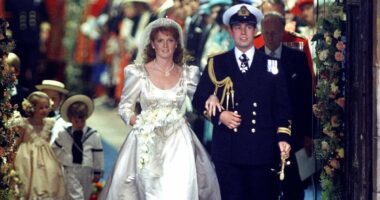 The Duchess of Scandal... who is now plain old Sarah