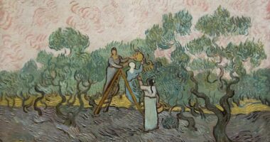 The Met accused of selling van Gogh looted from Jewish family by Nazis