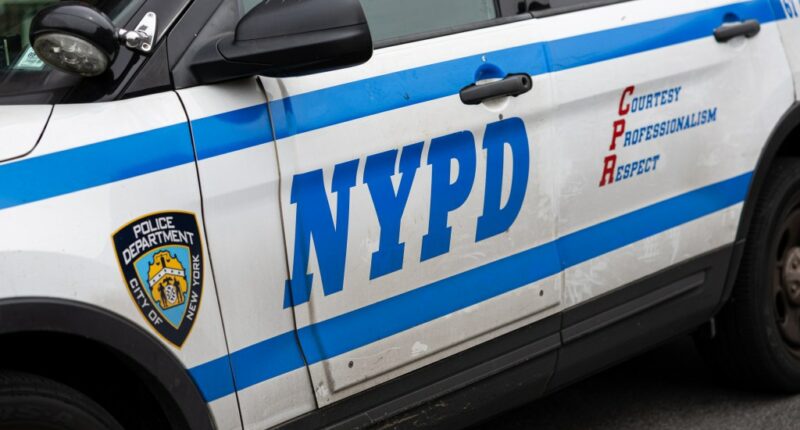 The NYPD must have a fair disciplinary process