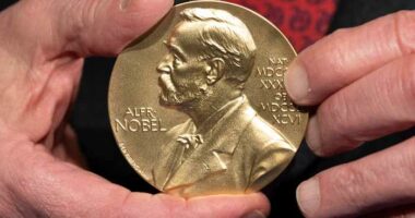 The Nobel Prize in literature will be announced on Thursday