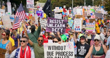 The inconvenient truth about No Kings protests that swept the nation