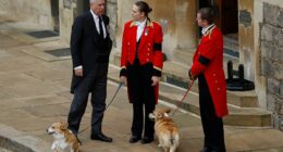 The late Queen's corgis will remain in the care of Andrew's family