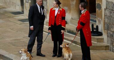 The late Queen's corgis will remain in the care of Andrew's family