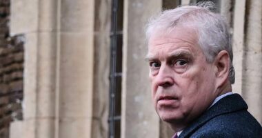 The only thing Andrew has left: Ex-prince REMAINS eighth in line