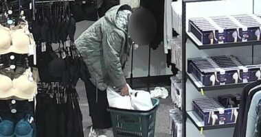 The rise of middle class shoplifters stealing for 'the thrill of it'