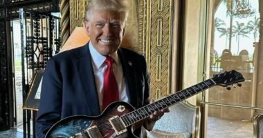 They mocked Trump's 'eagle graveyards' - now windmills haunt military