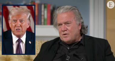 Third Trump term 'would be illegal, period': Law professor