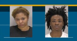 Three arrested in Augusta for several alleged car break-ins; gun, tools seized