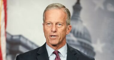 Thune digs in on 'stupid' shutdown: Talks with Schumer are 'not going to accomplish a lot'