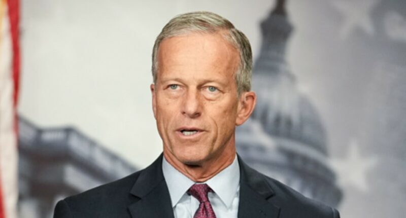 Thune digs in on 'stupid' shutdown: Talks with Schumer are 'not going to accomplish a lot'