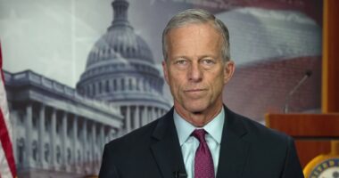 Thune says talks with Schumer are ‘not going to accomplish a lot’