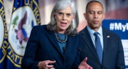Top Dem's staggeringly out-of-touch comment about families struggling
