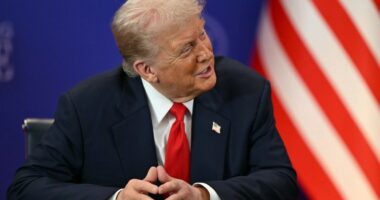Trade tensions cool as Trump and President Xi prepare to meet